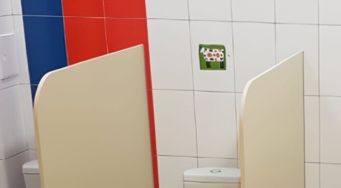 Защита и удобство: особенности сантехнических перегородок для дошкольных учреждений