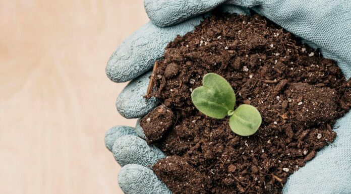 Натуральные минеральные удобрения: что это и как они работают