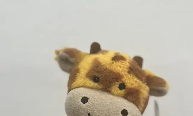 Мягкие игрушки: больше чем просто забавные друзья