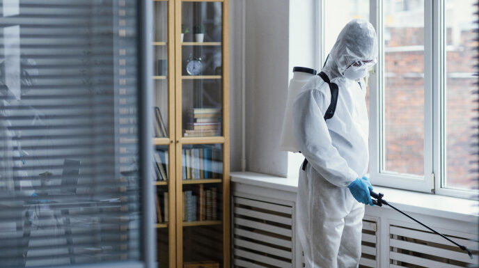Дезинфекция, дезинсекция, дератизация: виды и способы борьбы с вредителями