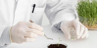 Зачем нужен агрохимический анализ: влияние на урожайность