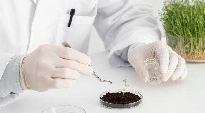 Зачем нужен агрохимический анализ: влияние на урожайность