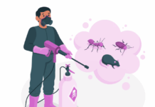 Профессиональная дезинсекция: когда стоит доверить борьбу с насекомыми специалистам