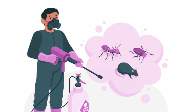 Профессиональная дезинсекция: когда стоит доверить борьбу с насекомыми специалистам