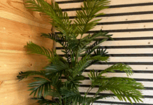 Искусственные пальмы для дома и офиса: стильное украшение интерьера