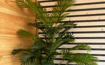 Искусственные пальмы для дома и офиса: стильное украшение интерьера