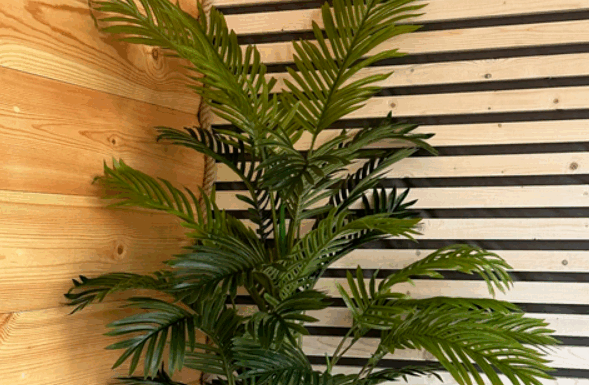 Искусственные пальмы для дома и офиса: стильное украшение интерьера