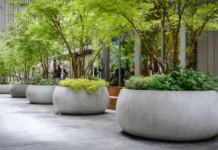 Где использовать большие кашпо в интерьере и ландшафтном дизайне