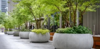 Где использовать большие кашпо в интерьере и ландшафтном дизайне