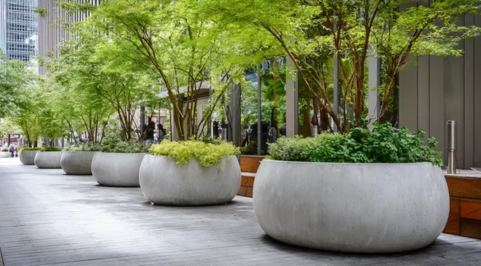 Где использовать большие кашпо в интерьере и ландшафтном дизайне