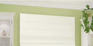 Современные решения для обустройства дома и офиса: как принести красоту в помещение