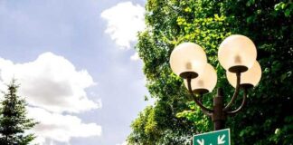 Ландшафтные события на участке — как зонирование и навигация влияют на комфорт посетителей