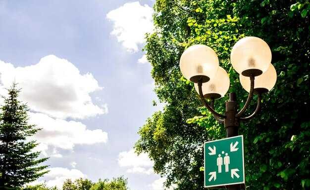 Ландшафтные события на участке — как зонирование и навигация влияют на комфорт посетителей