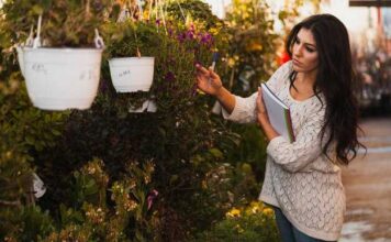 Садовые мастер-классы и дегустации — как быстро создать удобную зону для приема посетителей